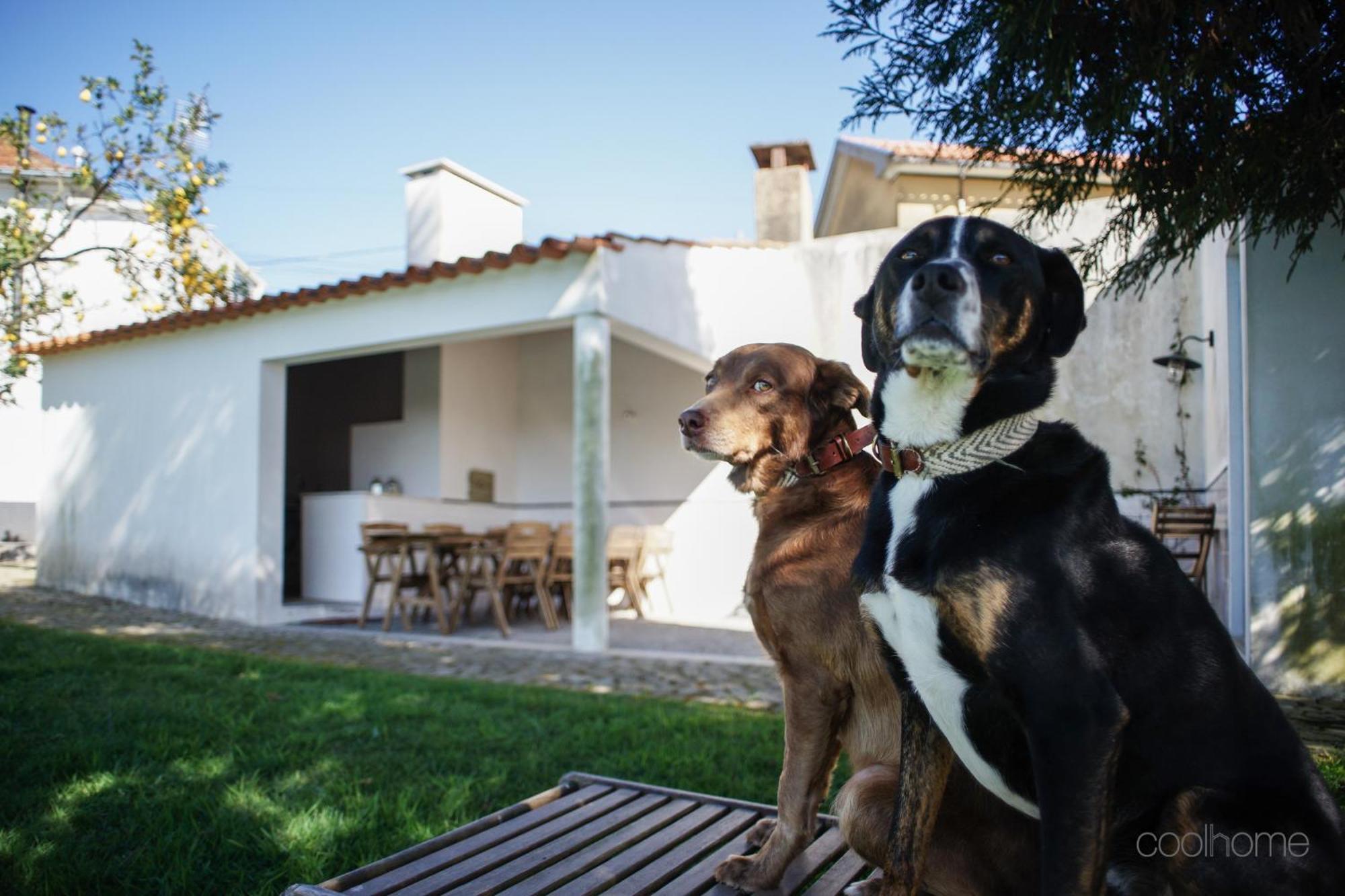 12 Casa D'Avo Villa Albergaria-a-Velha Luaran gambar